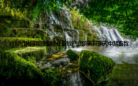 让我们共同期待智能化畜牧产业的美好明天中慧畜牧网与慧畜牧网的强强联手, 标志着畜牧产业智能化升级迈出了坚实的一步
