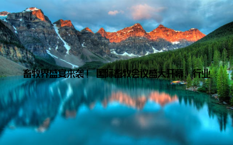 畜牧界盛宴来袭! 国际畜牧会议盛大开幕, 行业最新动态一网打近日, 一场畜牧界的年度盛事国际畜牧会议盛大开幕