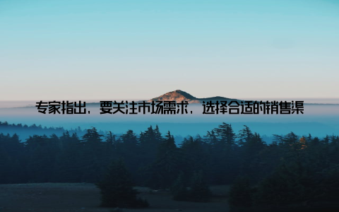 专家指出, 要关注市场需求, 选择合适的销售渠道, 提高肉鸡的销售价格咨询畜牧专家, 我们了解到科学饲养肉鸡的重要性