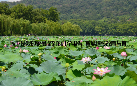 以下是我印象最深刻的几个报告 畜禽遗传改良与育种技术专家们介绍了畜禽遗传改良的最新进展, 包括基因编辑、分子育种等前沿技术