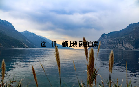 这一切, 都让我深感自豪