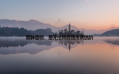 那种喜悦, 是无法用言语来表达的