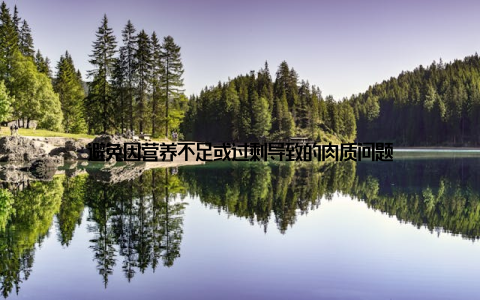 避免因营养不足或过剩导致的肉质问题