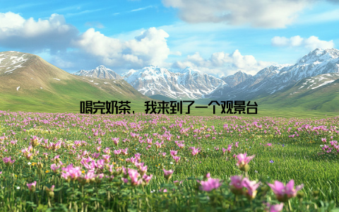 喝完奶茶, 我来到了一个观景台