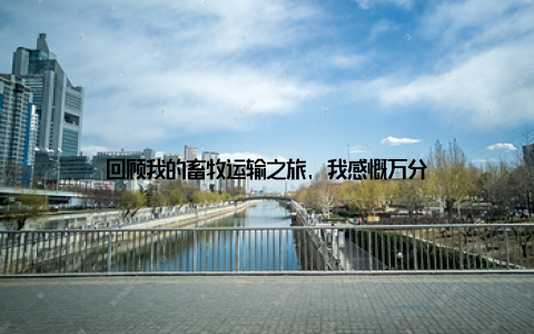 回顾我的畜牧运输之旅, 我感慨万分