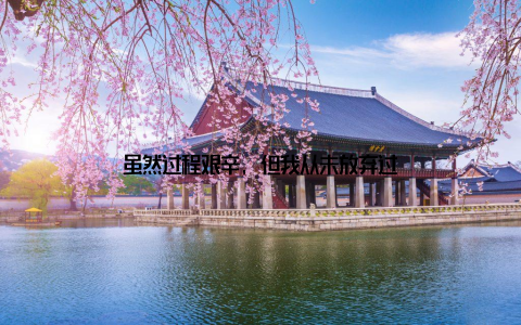 虽然过程艰辛, 但我从未放弃过