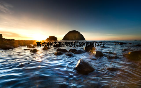 畜牧业资源浪费现象依然存在