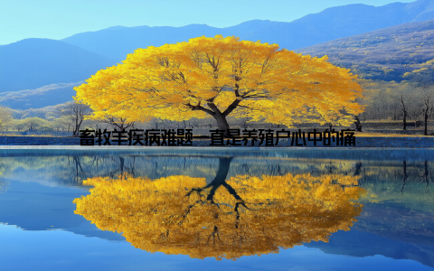 畜牧羊疾病难题一直是养殖户心中的痛