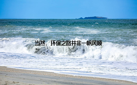 当然, 环保之路并非一帆风顺