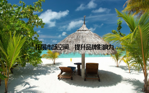 拓展市场空间, 提升品牌影响力