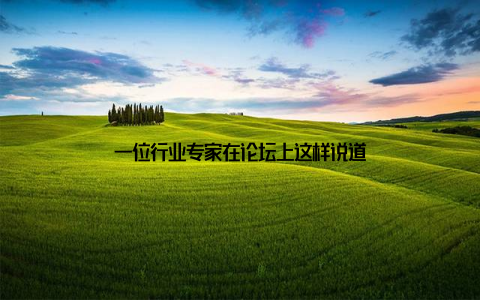 一位行业专家在论坛上这样说道