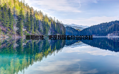 而那些猪, 更是我国畜牧业的支柱