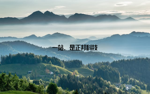 一站, 是正邦科技