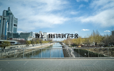 晚上, 我们来到了牛舍