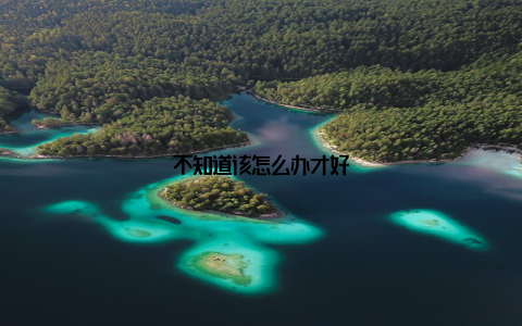 不知道该怎么办才好