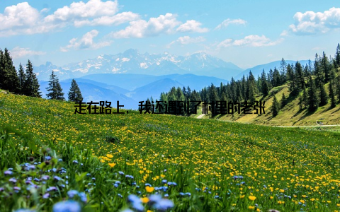 走在路上, 我还遇到了村里的老张