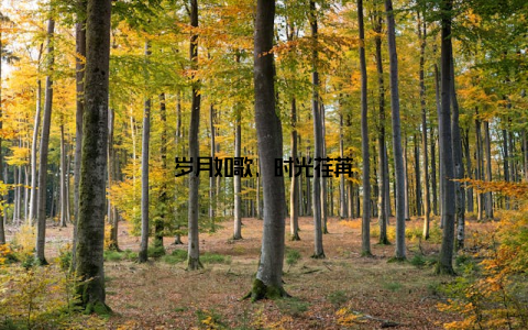 岁月如歌, 时光荏苒