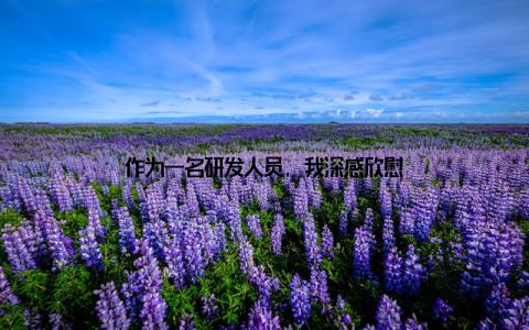 作为一名研发人员, 我深感欣慰