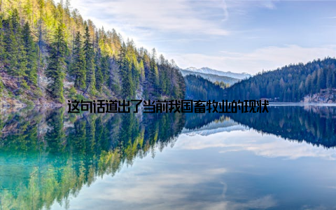 这句话道出了当前我国畜牧业的现状