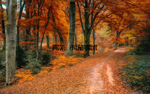 再次, 市场的需求