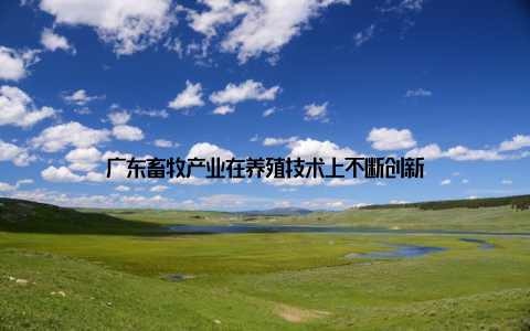 广东畜牧产业在养殖技术上不断创新
