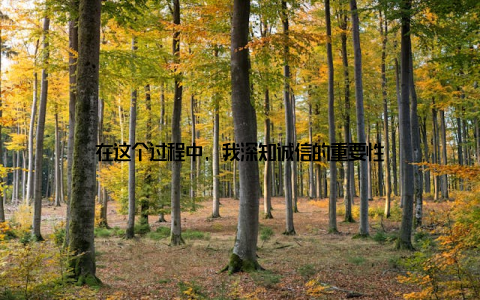 在这个过程中, 我深知诚信的重要性