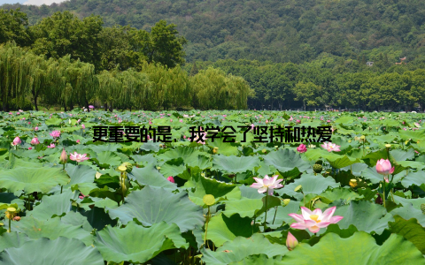 更重要的是, 我学会了坚持和热爱