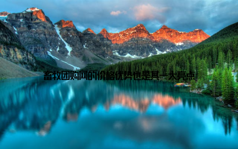 畜牧团购网的价格优势也是其一大亮点