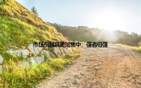 市场份额将更加集中, 强者恒强