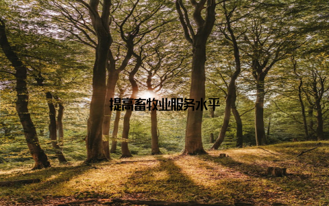 提高畜牧业服务水平