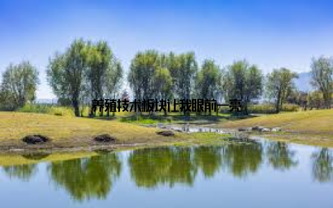 养殖技术板块让我眼前一亮