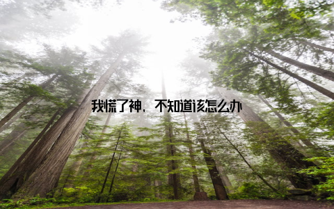 我慌了神, 不知道该怎么办