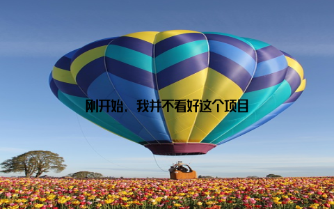 刚开始, 我并不看好这个项目