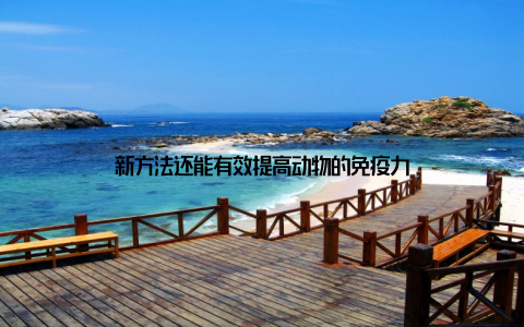 新方法还能有效提高动物的免疫力