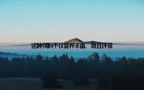 这种饲料不仅营养丰富, 而且环保