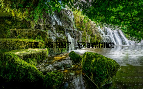 于是, 我们开始了一系列的帮扶措施