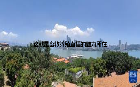 这就是畜牧养殖直播的魅力所在