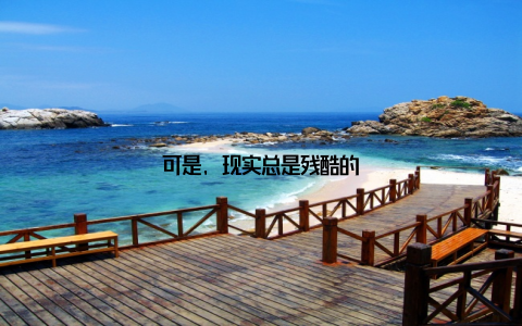 可是, 现实总是残酷的