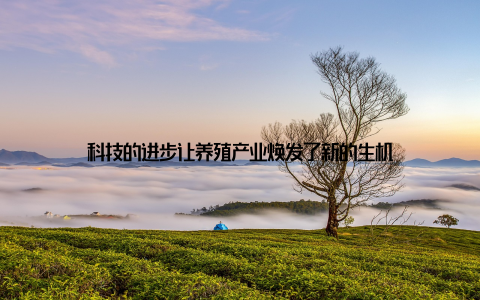 科技的进步让养殖产业焕发了新的生机