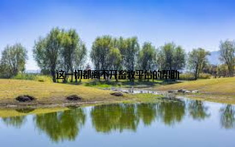 这一切都离不开畜牧平台的帮助