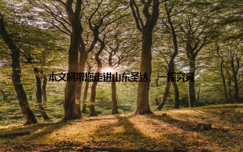 本文将带您走进山东圣达, 一探究竟