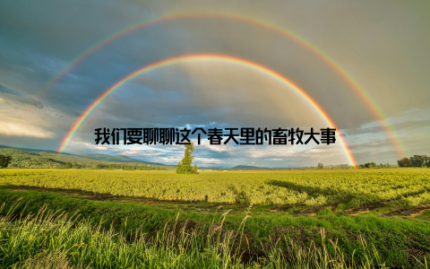 我们要聊聊这个春天里的畜牧大事