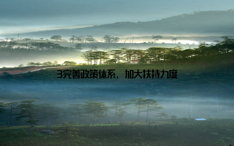 3完善政策体系, 加大扶持力度