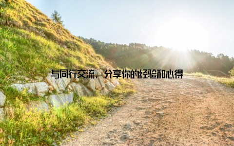 与同行交流, 分享你的经验和心得