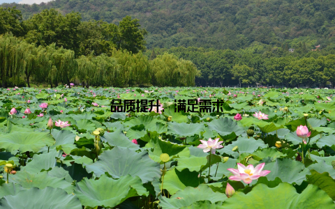 品质提升, 满足需求