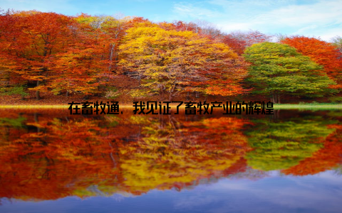 在畜牧通, 我见证了畜牧产业的辉煌