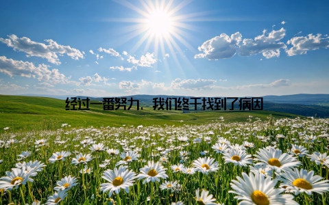 经过一番努力, 我们终于找到了病因