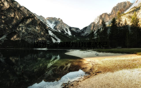 这种行业的凝聚力让我感动不已