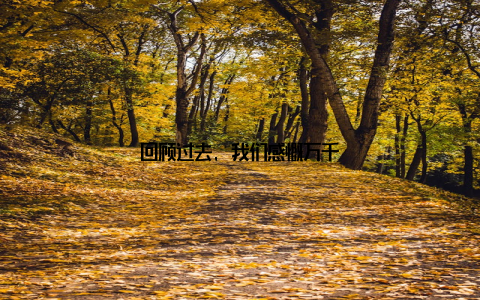 回顾过去, 我们感慨万千