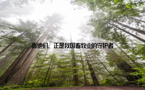 而他们, 正是我国畜牧业的守护者